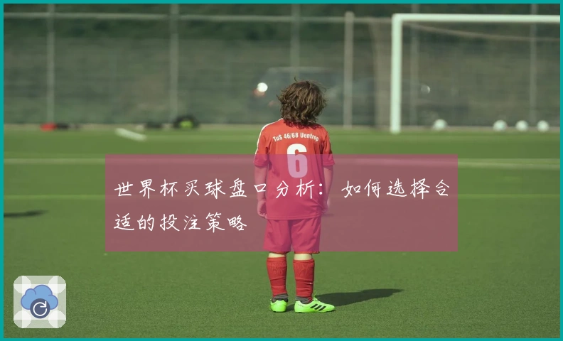世界杯买球盘口分析：如何选择合适的投注策略