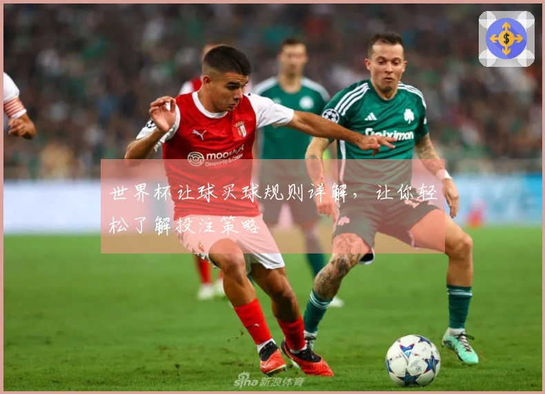 世界杯让球买球规则详解，让你轻松了解投注策略