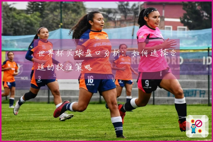 世界杯买球盘口分析：如何选择合适的投注策略