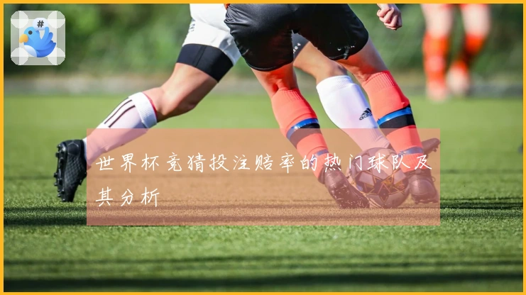 世界杯竞猜投注赔率的热门球队及其分析