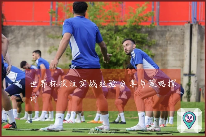 世界杯投注实战经验分享与策略探讨