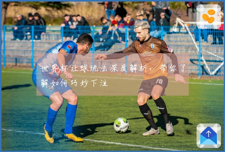 世界杯让球玩法深度解析，带你了解如何巧妙下注